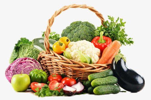 宏萌live 从田间到餐桌，新鲜蔬菜的直播盛宴