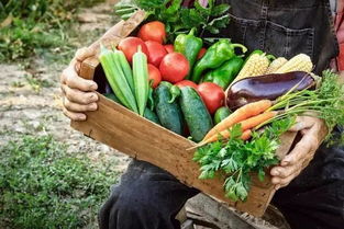 警惕日常饮食 不当饮食习惯或为癌细胞提供温床