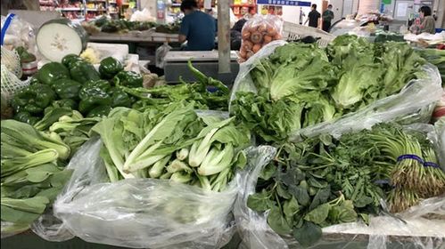 鸡蛋与蔬菜价格双双回落，6月河南主要农副食品价格调查结果出炉