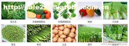 东莞市塘厦送菜公司 新鲜蔬菜批发与配送一站式服务