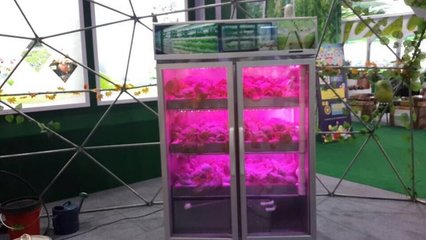 创新引领未来农业 丽水市农科院快繁中心的多维技术探索