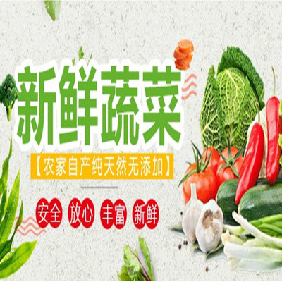 清新区食材批发与蔬菜配送服务报价指南 大型市场直供，食堂送菜无忧