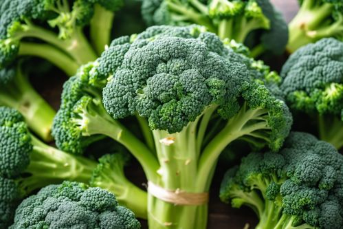 绿色之源 西蓝花的新鲜密码 —— 一幅广告摄影作品的视觉叙事